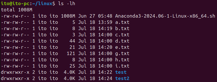 Figure 4. Linux Command ls -lh Option Applied