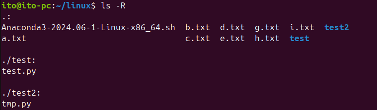 図 7. Linuxコマンド ls -R オプション適用