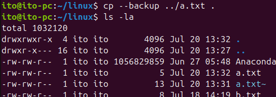 Figure 8. Linux command cp --backup option backing up files with the same name