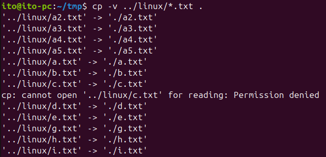 Figure 3. Linux command cp -v option showing detailed copy output