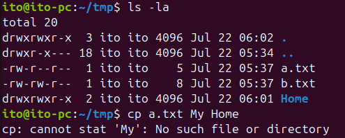 Figure 9. Linux command cp without quoting file names with spaces