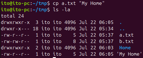 Figure 10. Linux command cp handling file names with spaces by quoting