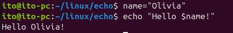 図6. Linuxコマンドecho: 変数の値を出力