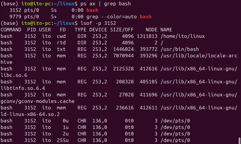 Figure 1. Linux command lsof: Using the -p option to list all files opened by PID 3152